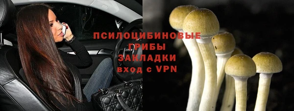 крисы Балабаново