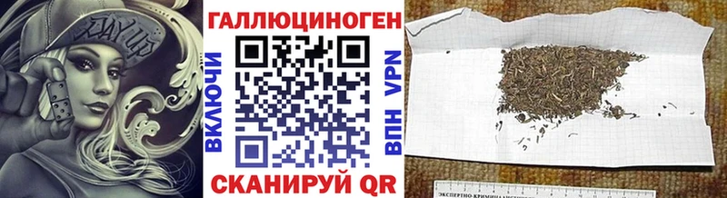 закладки  Сертолово  Галлюциногенные грибы Psilocybine cubensis 